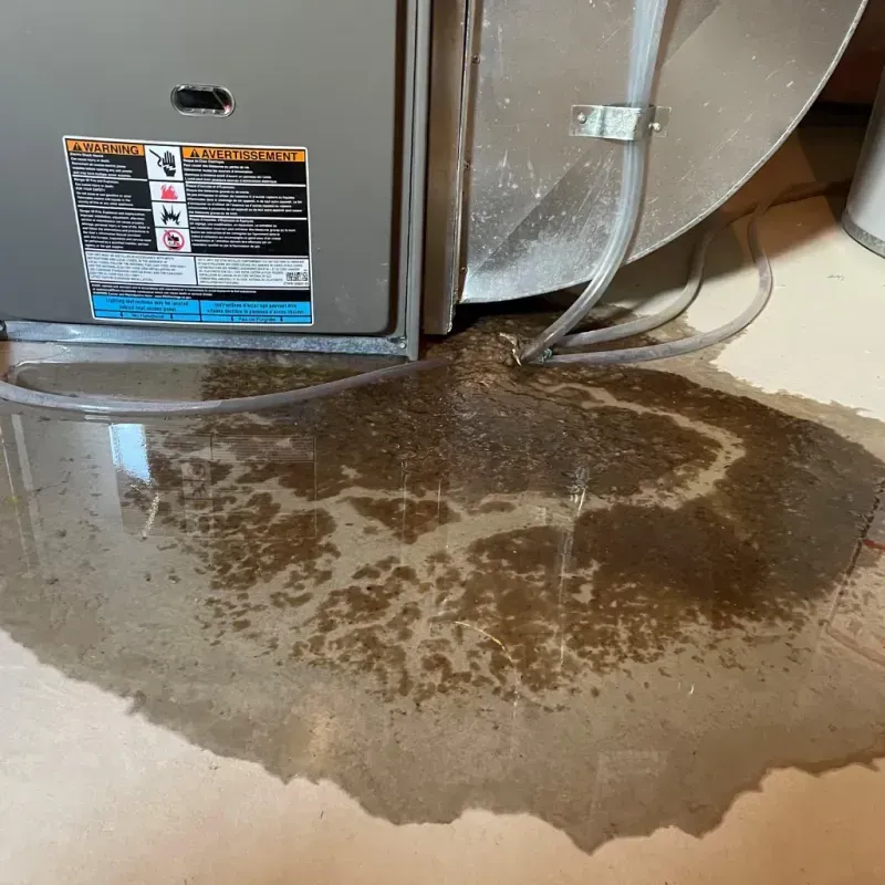 Appliance Leak Cleanup in Centerville, GA